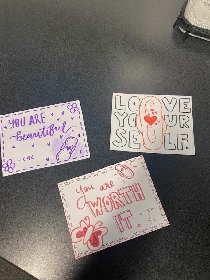 Why Access to Period Products Matters